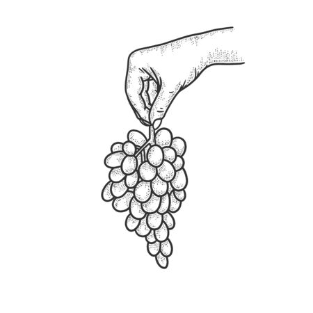 bunch of grapes in hand sketch engraving vector illustration. T-shirt apparel print design. Scratch board imitation. Black and white hand drawn image.のイラスト素材