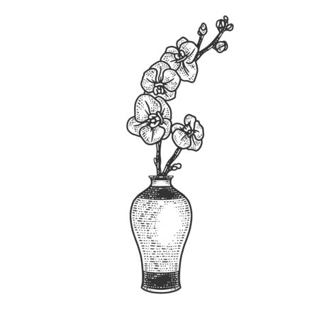 orchid in vase sketch engraving vector illustration. T-shirt apparel print design. Scratch board imitation. Black and white hand drawn image.のイラスト素材