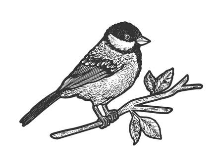 titmouse great tit bird on tree branch sketch engraving vector illustration. T-shirt apparel print design. Scratch board imitation. Black and white hand drawn image.のイラスト素材