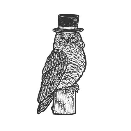 Owl bird in top cylinder hat sketch engraving vector illustration. T-shirt apparel print design. Scratch board imitation. Black and white hand drawn image.のイラスト素材
