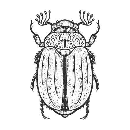 Chafer may bug Melolontha sketch engraving vector illustration. T-shirt apparel print design. Scratch board imitation. Black and white hand drawn image.のイラスト素材