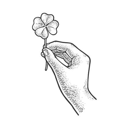 clover in hand sketch engraving vector illustration. T-shirt apparel print design. Scratch board imitation. Black and white hand drawn image.のイラスト素材