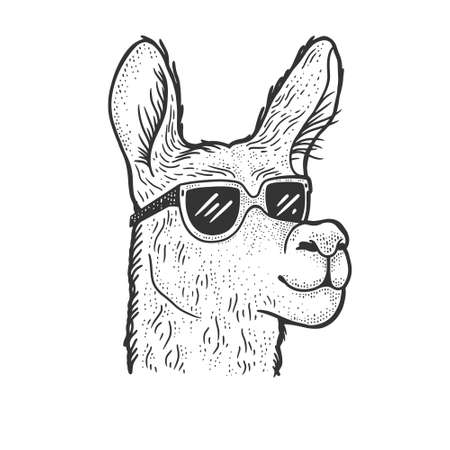 llama in sunglasses sketch engraving vector illustration. T-shirt apparel print design. Scratch board imitation. Black and white hand drawn image.のイラスト素材