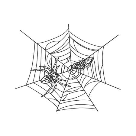 spider with moth in web sketch engraving vector illustration. T-shirt apparel print design. Scratch board imitation. Black and white hand drawn image.のイラスト素材
