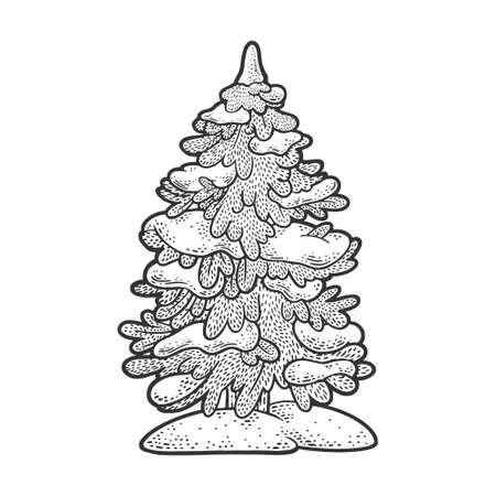 spruce pine tree in snow sketch engraving vector illustration. T-shirt apparel print design. Scratch board imitation. Black and white hand drawn image.のイラスト素材