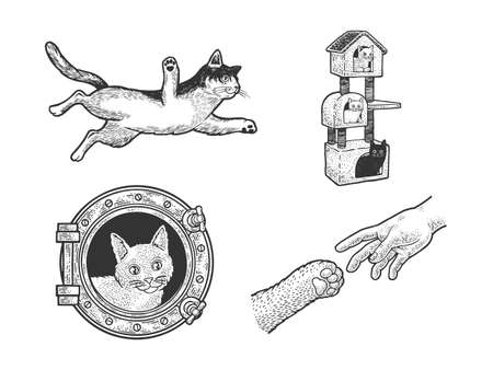 Cat pet animal set sketch engraving vector illustration. Flying cat. T-shirt apparel print design. Scratch board imitation. Black and white hand drawn image.のイラスト素材