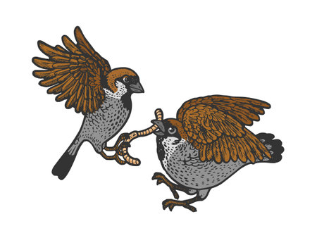 birds fight for the worm color line art sketch engraving vector illustration. T-shirt apparel print design. Scratch board imitation. Black and white hand drawn image.のイラスト素材