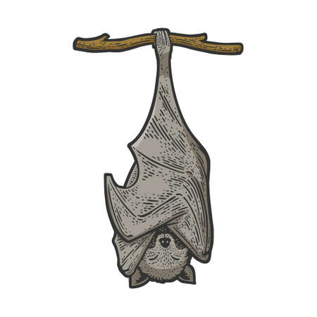 Sleeping bat hanging upside down color line art sketch engraving vector illustration. T-shirt apparel print design. Scratch board imitation. Black and white hand drawn image.のイラスト素材