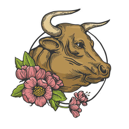 Bull and flowers color line art sketch engraving vector illustration. T-shirt apparel print design. Scratch board imitation. Black and white hand drawn image.のイラスト素材