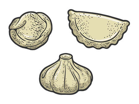set of dumplings color sketch engraving vector illustration. T-shirt apparel print design. Scratch board imitation. Black and white hand drawn image.のイラスト素材