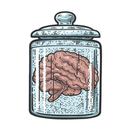 human brain in jar of formalin color sketch engraving vector illustration. T-shirt apparel print...