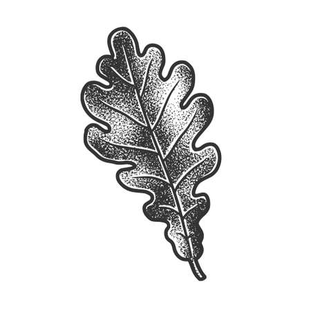 Oak Leaf sketch engraving vector illustration. T-shirt apparel print design. Scratch board imitation. Black and white hand drawn image.のイラスト素材