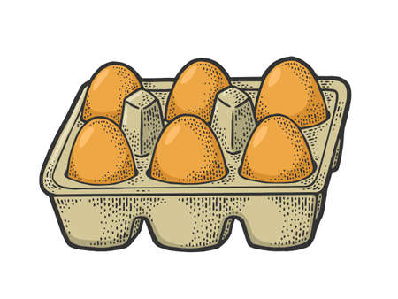 egg tray color sketch engraving vector illustration. T-shirt apparel print design. Scratch board imitation. Black and white hand drawn image.のイラスト素材