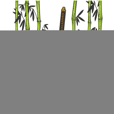 katana sword and bamboo color sketch engraving vector illustration. T-shirt apparel print design. Scratch board imitation. Black and white hand drawn image.のイラスト素材