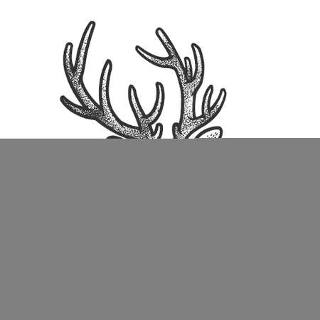 deer head sketch engraving vector illustration. T-shirt apparel print design. Scratch board imitation. Black and white hand drawn image.のイラスト素材