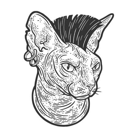 Sphynx cat with punk Mohawk hairstyle sketch engraving vector illustration. T-shirt apparel print design. Scratch board imitation. Black and white hand drawn image.のイラスト素材