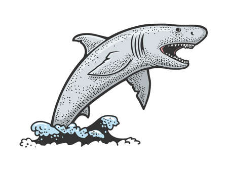 shark jumps out of water color sketch engraving vector illustration. T-shirt apparel print design. Scratch board imitation. Black and white hand drawn image.のイラスト素材