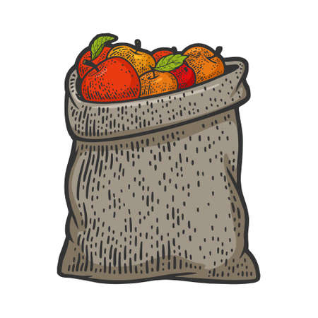bag of apples line art color sketch engraving vector illustration. T-shirt apparel print design. Scratch board imitation. Black and white hand drawn image.のイラスト素材