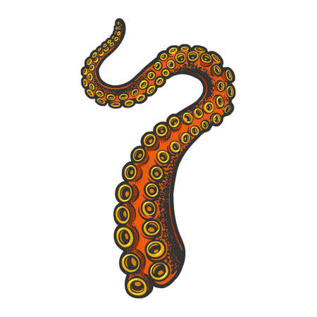 octopus tentacle sea food color sketch engraving vector illustration. T-shirt apparel print design. Scratch board imitation. Black and white hand drawn image.のイラスト素材