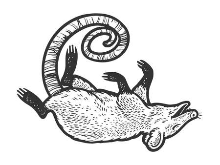 Possum playing death pretending to be dead sketch engraving raster illustration. Scratch board imitation. Black and white hand drawn image.の写真素材