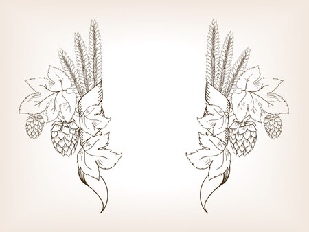 hop branch label menu deck template sketch brown style vector illustration. Old hand drawn engraving imitation.のイラスト素材