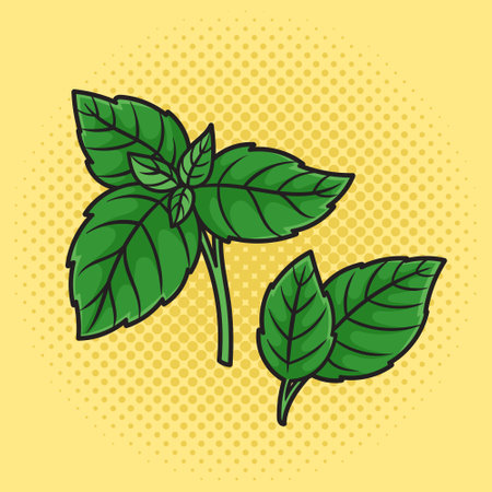 Cooking basil leaf pinup pop art retro vector illustration. Comic book style imitation.のイラスト素材