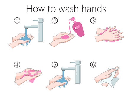How to wash your hands properly diagram schematic vector illustration. Medical science educational illustrationのイラスト素材