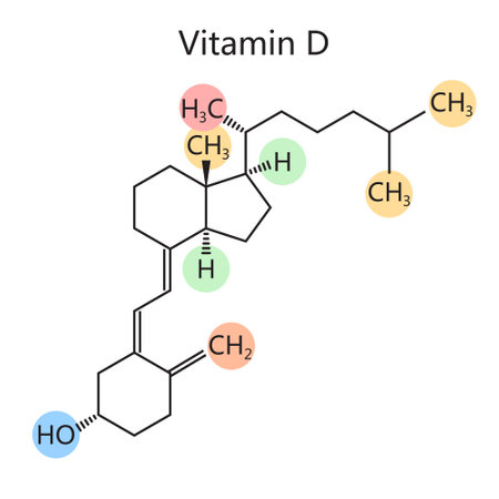 Chemical organic formula of vitamin D diagram schematic vector illustration. Medical science educational illustrationのイラスト素材
