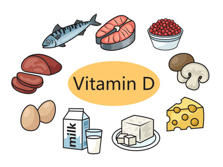 foods containing vitamin D diagram schematic vector illustration. Medical science educational illustrationのイラスト素材
