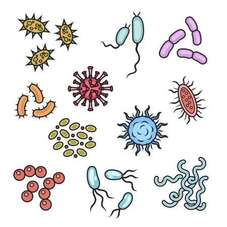 Bacteria and microorganisms diagram schematic vector illustration. Medical science educational illustrationのイラスト素材