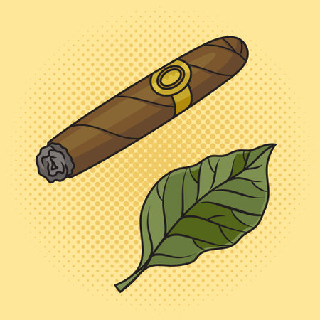 Cigar and tobacco leaf pinup pop art retro vector illustration. Comic book style imitation.のイラスト素材