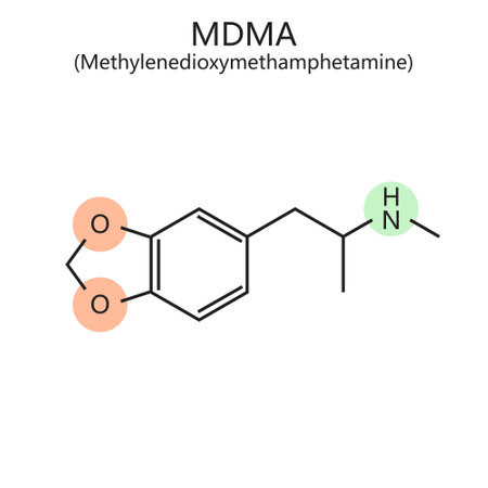 Chemical organic formula of ecstasy MDMA drug diagram hand drawn schematic vector illustration. Medical science educational illustrationのイラスト素材