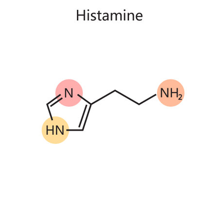 Chemical organic formula of histamine diagram hand drawn schematic vector illustration. Medical...
