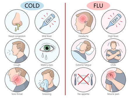 Comparison of Cold and Flu Symptoms medicalのイラスト素材