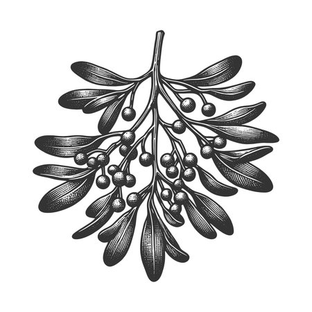 Mistletoe Branch engraving vector illustrationのイラスト素材