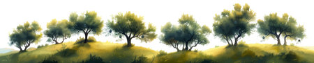 Sunlit Olive Trees on Rolling Hills vectorのイラスト素材