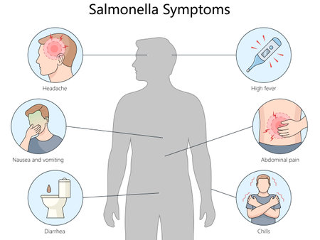 symptoms of Salmonella, headache, high fever, abdominal pain, nausea, vomiting, diarrhea, informative diagram hand drawn schematic vector illustration. Medical science educational illustrationのイラスト素材