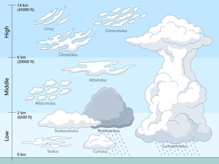Educational diagram showing different cloud types categorized by low, middle, and high altitudes, including stratus, cumulus, cirrus, and cumulonimbus hand drawn schematic raster illustration.の写真素材