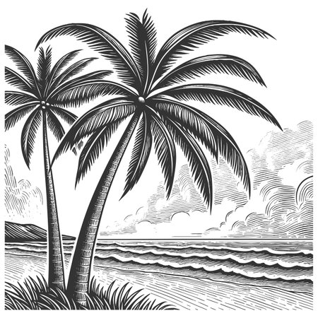 tropical beach scene featuring tall palm trees, ocean waves, and distant clouds in retro style sketch engraving raster illustration. Scratch board imitation. Black and white image.の写真素材