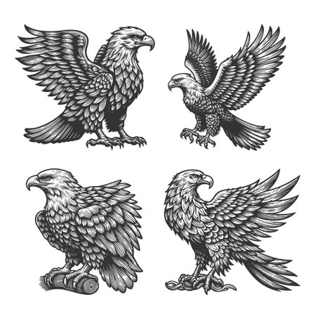 eagle Set collection bundle sketch engraving vector illustration. Scratch board imitation. Black and white image.のイラスト素材
