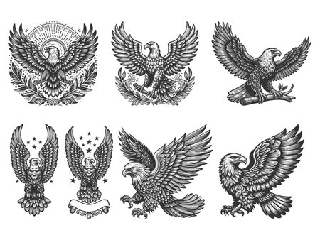 eagle Set collection bundle sketch engraving raster illustration. Scratch board imitation. Black and white image.の写真素材