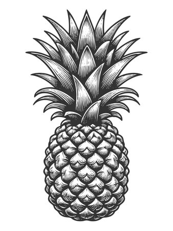 Pineapple sketch engraving fictional character raster illustration. Scratch board imitation. Black and white image.の写真素材