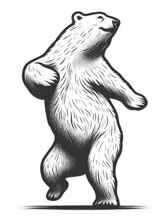 Polar bear dancing sketch engraving fictional character vector illustration. Scratch board imitation. Black and white image.のイラスト素材