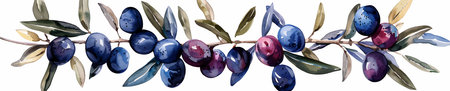 branch of olives with purple and blue hues, green leaves, and artistic brushstroke detls. vector illustration. Wide panoramic banner imageのイラスト素材