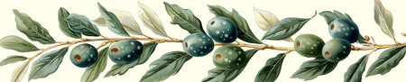 olive branch with green and black olives and detled leaves on a light background. vector illustration. Wide banner imageのイラスト素材