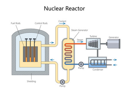 how a nuclear reactor generates electricity using fuel rods, control rods, steam, turbines, and generators diagram hand drawn schematic vector. Science educational illustrationのイラスト素材