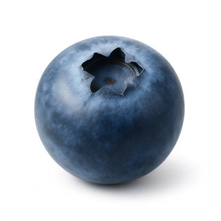ripe blueberry with natural texture and crown, isolated on a clean white background. Generative ai raster colorful isolated illustration on white background.の素材