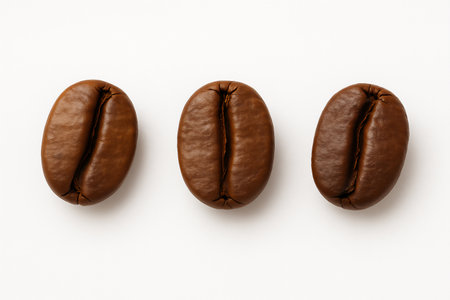 Close-up of three roasted coffee beans arranged in row, isolated on a white background, ideal for coffee and beverage visuals. Generative ai raster colorful isolated illustration on white background.の素材