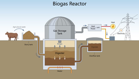 how agricultural waste is converted into biogas, heat, and electricity using a biogas reactor system diagram hand drawn schematic vector. Science educational illustrationのイラスト素材