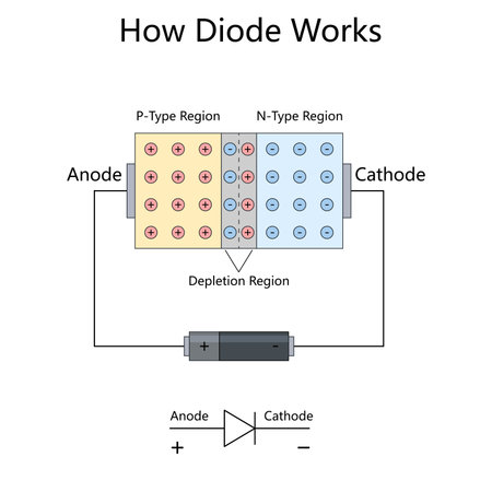 internal structure of a diode, showing P-type and N-type regions, depletion zone, and current flow...